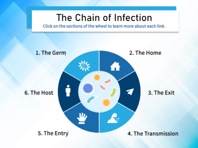 A screenshot from the sample module of ALM's Certified Linen Technician training. This screenshot shows "The Chain of Infection" and asks learners to hover over each stage of the chain of infection to learn more about each step. 